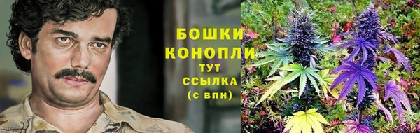 меф Белокуриха