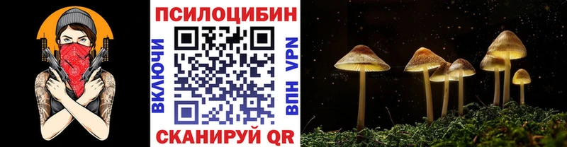 Галлюциногенные грибы Psilocybe  Уфа 